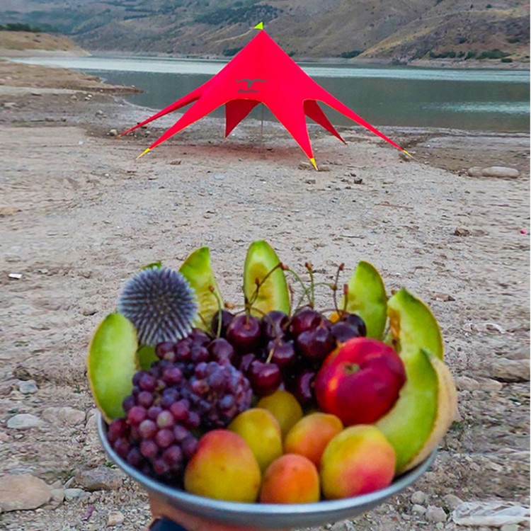 سایبان ستاره ای موفلان مدل استارتنت St110m